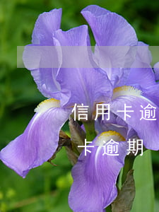 信用卡逾期被帶派出所 銀行報備派出所信用卡逾期