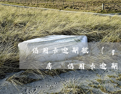 信用卡逾期被強(qiáng)制劃扣怎么還房貸（信用卡逾期被強(qiáng)制劃扣怎么還房貸）