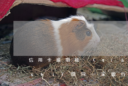 信用卡逾期被強(qiáng)制劃扣時(shí)間(同一家銀行信用卡逾期了會(huì)從儲(chǔ)蓄卡直接劃扣嗎)
