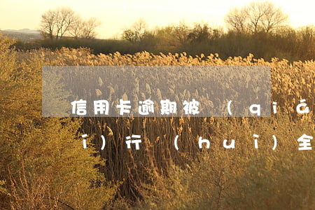 信用卡逾期被強(qiáng)制執(zhí)行會(huì)全部扣走嗎-信用卡逾期被強(qiáng)制執(zhí)行會(huì)全部扣走嗎
