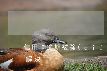 信用卡逾期被強(qiáng)制扣款怎么解決