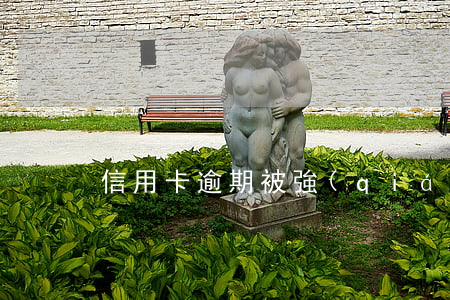 信用卡逾期被強(qiáng)制注銷五年