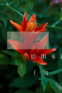 信用卡逾期被強(qiáng)制注銷申請(qǐng)房貸(信用卡逾期被強(qiáng)制注銷申請(qǐng)房貸)