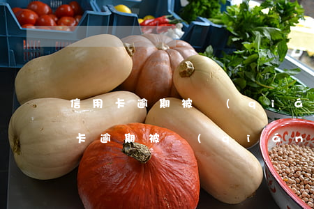 信用卡逾期被強(qiáng)制銷卡(信用卡逾期被強(qiáng)制銷卡怎么辦?)