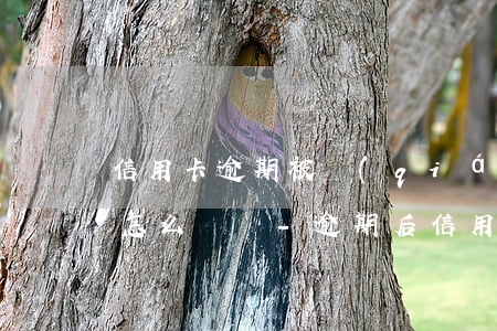 信用卡逾期被強(qiáng)制銷戶后果怎么還錢-逾期后信用卡被注銷