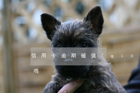 信用卡逾期被強(qiáng)制銷戶還還嗎