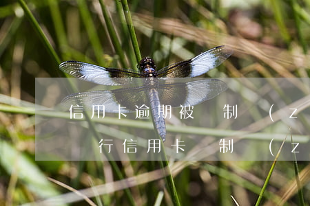 信用卡逾期被強制執(zhí)行怎么辦(欠銀行信用卡強制執(zhí)行的限制)