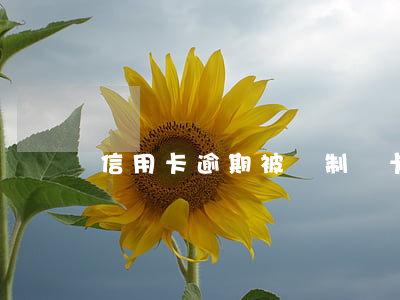 信用卡逾期被強制銷卡怎么還款