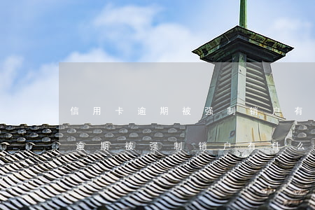 信用卡逾期被强制销户有什么后果-信用卡逾期被强制销户有什么后果吗