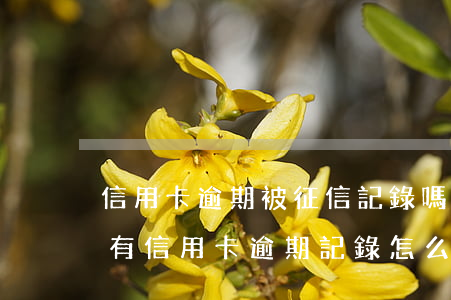 信用卡逾期被征信記錄嗎(想貸款但是征信上有信用卡逾期記錄怎么辦)