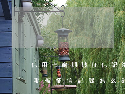 信用卡逾期被征信記錄怎么消除-信用卡逾期被征信記錄怎么消除掉