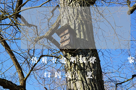 信用卡逾期被律師來電(家人的信用卡逾期律師打到我這里)