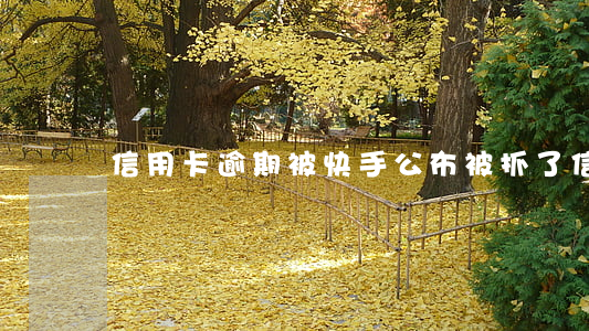 信用卡逾期被快手公布(被抓了信用卡逾期)
