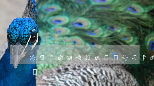 信用卡逾期被打通訊錄（信用卡逾期被打通訊錄）