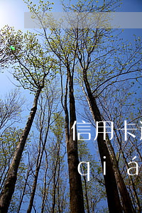 信用卡逾期被扣劃怎么辦(信用卡逾期被強(qiáng)行劃扣怎么辦)