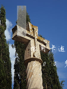 信用卡逾期被扣萬元怎么辦(欠信用卡逾期2000多塊錢)