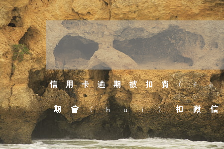信用卡逾期被扣費(fèi)了(欠信用卡逾期會(huì)扣微信錢嗎)