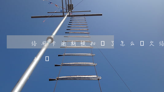 信用卡逾期被扣錢了怎么辦(欠信用卡會自動扣嗎)