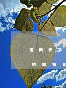 信用卡逾期被扣高額利息如何投訴-信用卡逾期被扣高額利息如何投訴電話