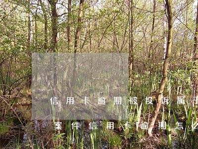 信用卡逾期被投诉属于刑事案件么-因刑事案件信用卡逾期怎么办
