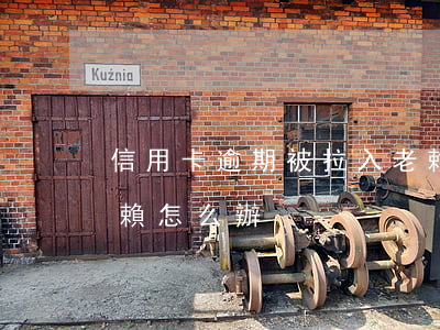 信用卡逾期被拉入老賴(信用卡逾期被拉入老賴怎么辦)