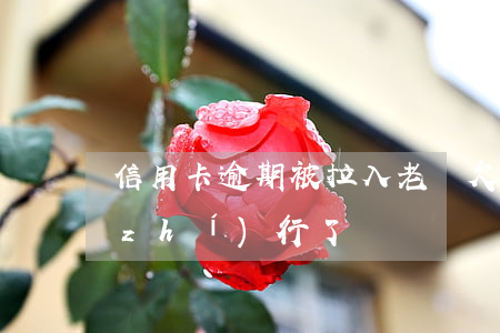 信用卡逾期被拉入老賴(欠信用卡被銀行執(zhí)行了)