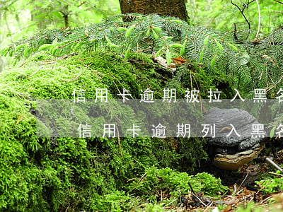 信用卡逾期被拉入黑名單的流程 收到短信說信用卡逾期列入黑名單