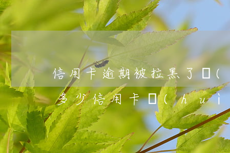 信用卡逾期被拉黑了會(huì)怎么樣(欠多少信用卡會(huì)被拉黑)