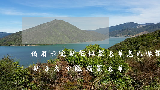 信用卡逾期被拉黑名单怎么撤销(用信用卡逾期多久才能成黑名单)