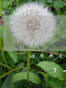 信用卡逾期被拉黑名單(信用卡逾期被拉黑名單還了之后)