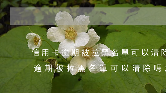信用卡逾期被拉黑名單可以清除嗎-信用卡逾期被拉黑名單可以清除嗎怎么辦