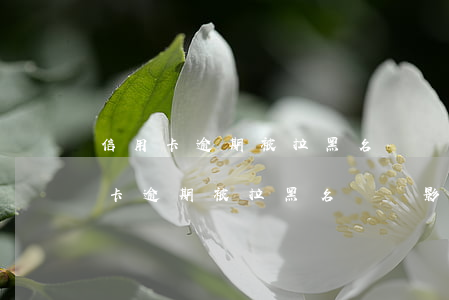 信用卡逾期被拉黑名單會影響孩子嗎-信用卡逾期被拉黑名單會影響孩子嗎知乎