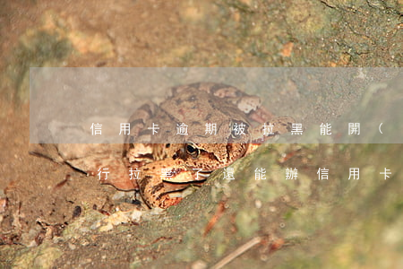 信用卡逾期被拉黑能開(kāi)公司(被銀行拉黑了還能辦信用卡嗎)