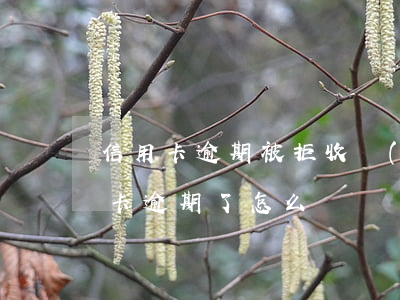 信用卡逾期被拒收會(huì)怎樣 我信用卡逾期了怎么辦