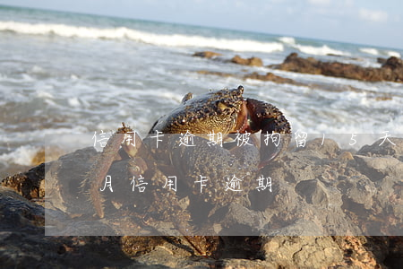 信用卡逾期被拘留15天(拘留一個(gè)月信用卡逾期)