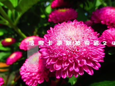 信用卡逾期被拘留24小时