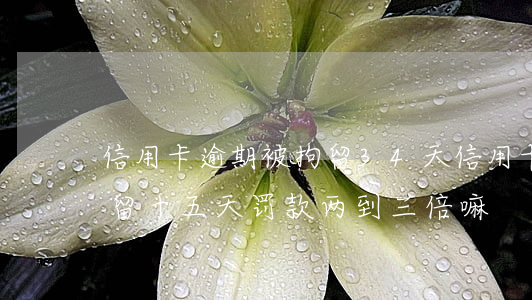 信用卡逾期被拘留34天(信用卡逾期会被拘留十五天罚款两到三倍嘛)