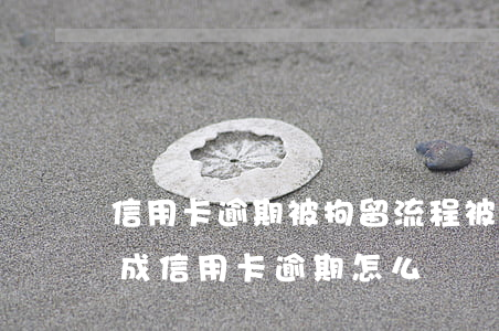 信用卡逾期被拘留流程(被公安局拘留期間造成信用卡逾期怎么辦)