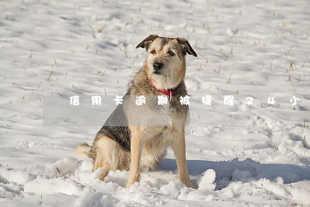 信用卡逾期被提醒24小時內(nèi)