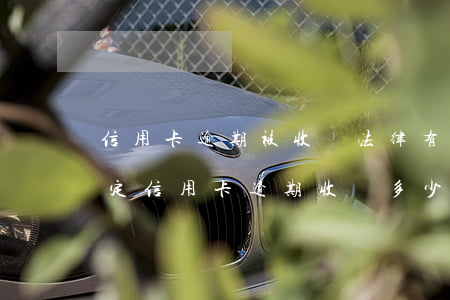 信用卡逾期被收費(法律有沒有規(guī)定信用卡逾期收費多少)