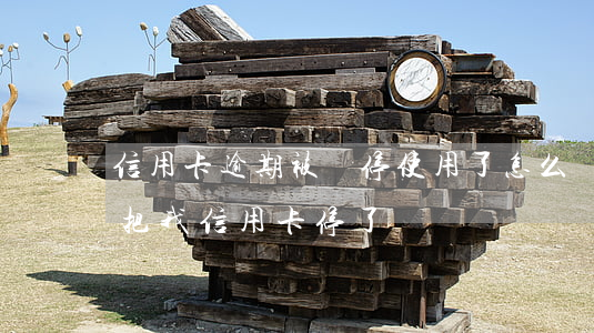 信用卡逾期被暫停使用了怎么辦 沒逾期銀行把我信用卡停了