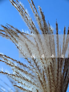 信用卡逾期被曝通信錄(信用卡逾期被曝通信錄)