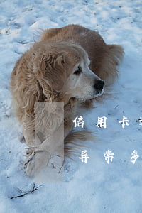 信用卡逾期被核销怎么处理-逾期后信用卡异常多久解除
