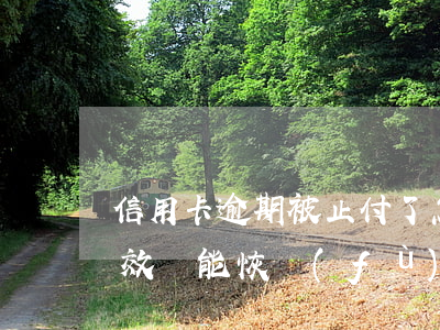 信用卡逾期被止付了怎么辦(逾期得信用卡無效還能恢復(fù)嗎)
