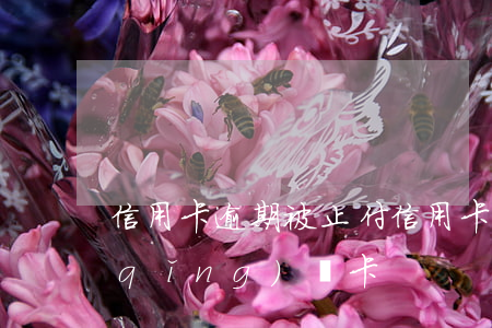 信用卡逾期被止付(信用卡逾期被止付,申請(qǐng)換卡)