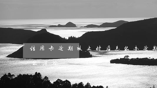 信用卡逾期被止付后怎么办(逾期止付状态怎么消除)