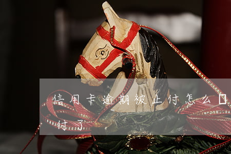 信用卡逾期被止付怎么處理(自己把信用卡止付了)