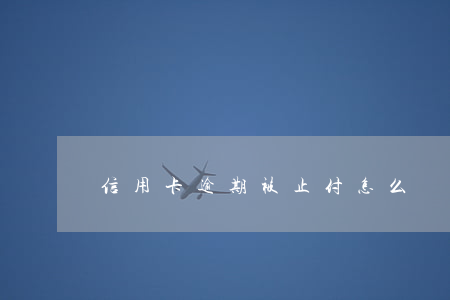 信用卡逾期被止付怎么辦(信用卡被止付款)