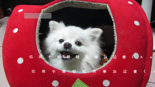 信用卡逾期被民事訴訟會(huì)被拘留(信用卡逾期被民事訴訟會(huì)被拘留嘛)