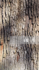 信用卡逾期被民事起訴判決后是否可以協(xié)商(信用卡逾期被起訴判決后還能協(xié)商嗎)